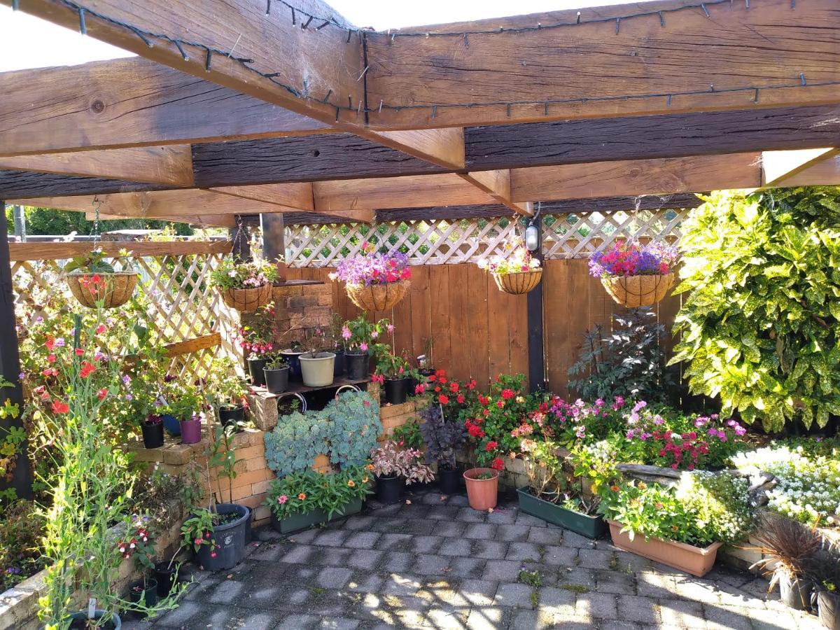 Carters Beach Bed And Breakfast Westport Esterno foto